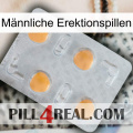 Männliche Erektionspillen 24